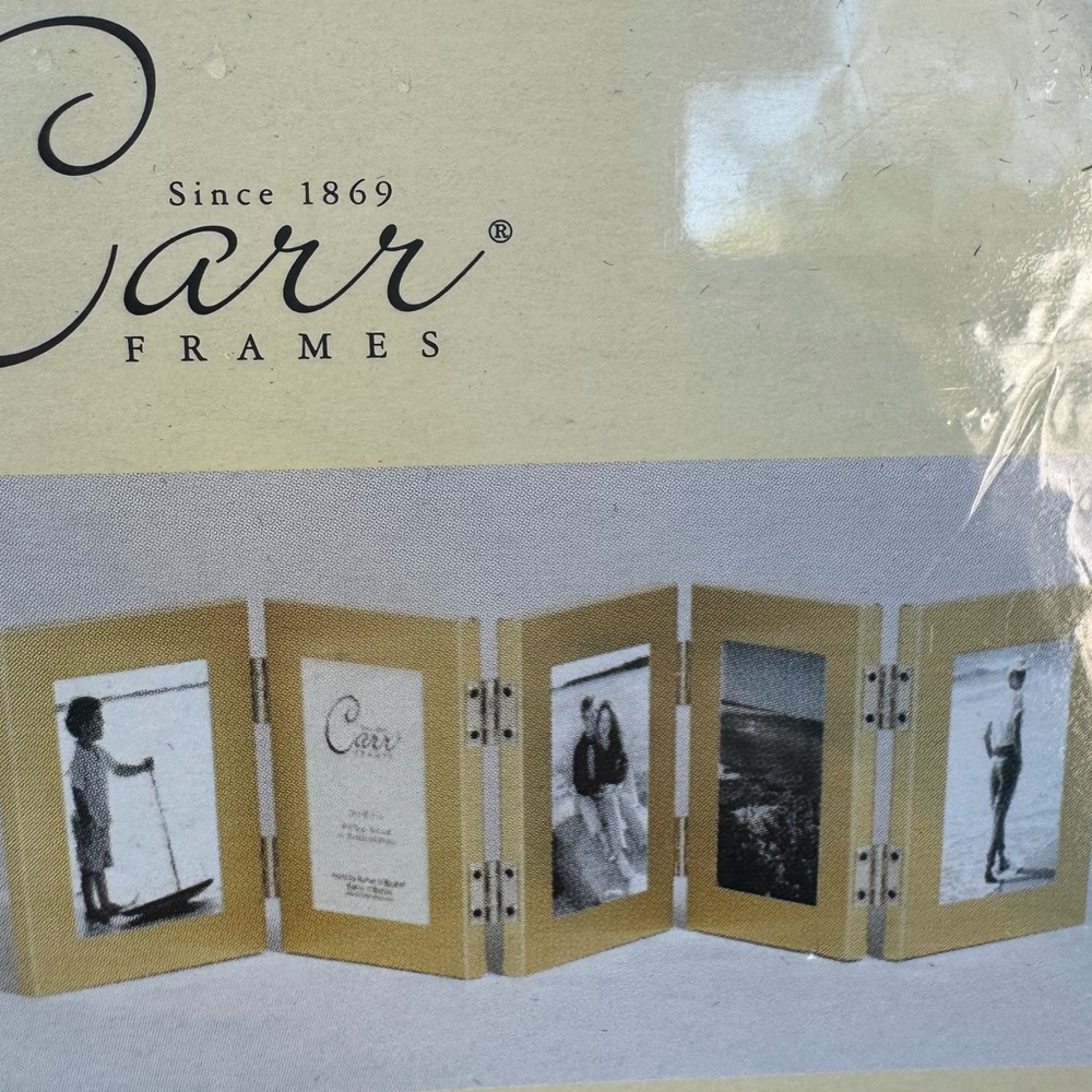 Carr Frames Brushed Gold 5 Hinged Picture Frames